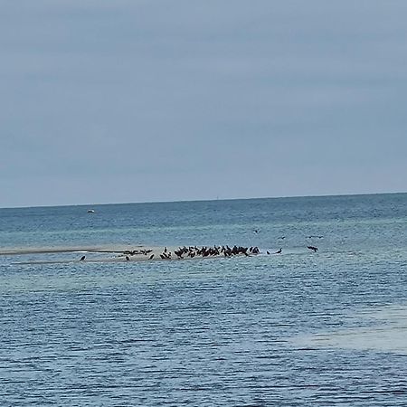 Ferienwohnung "Seeblick" Zingst Luaran gambar