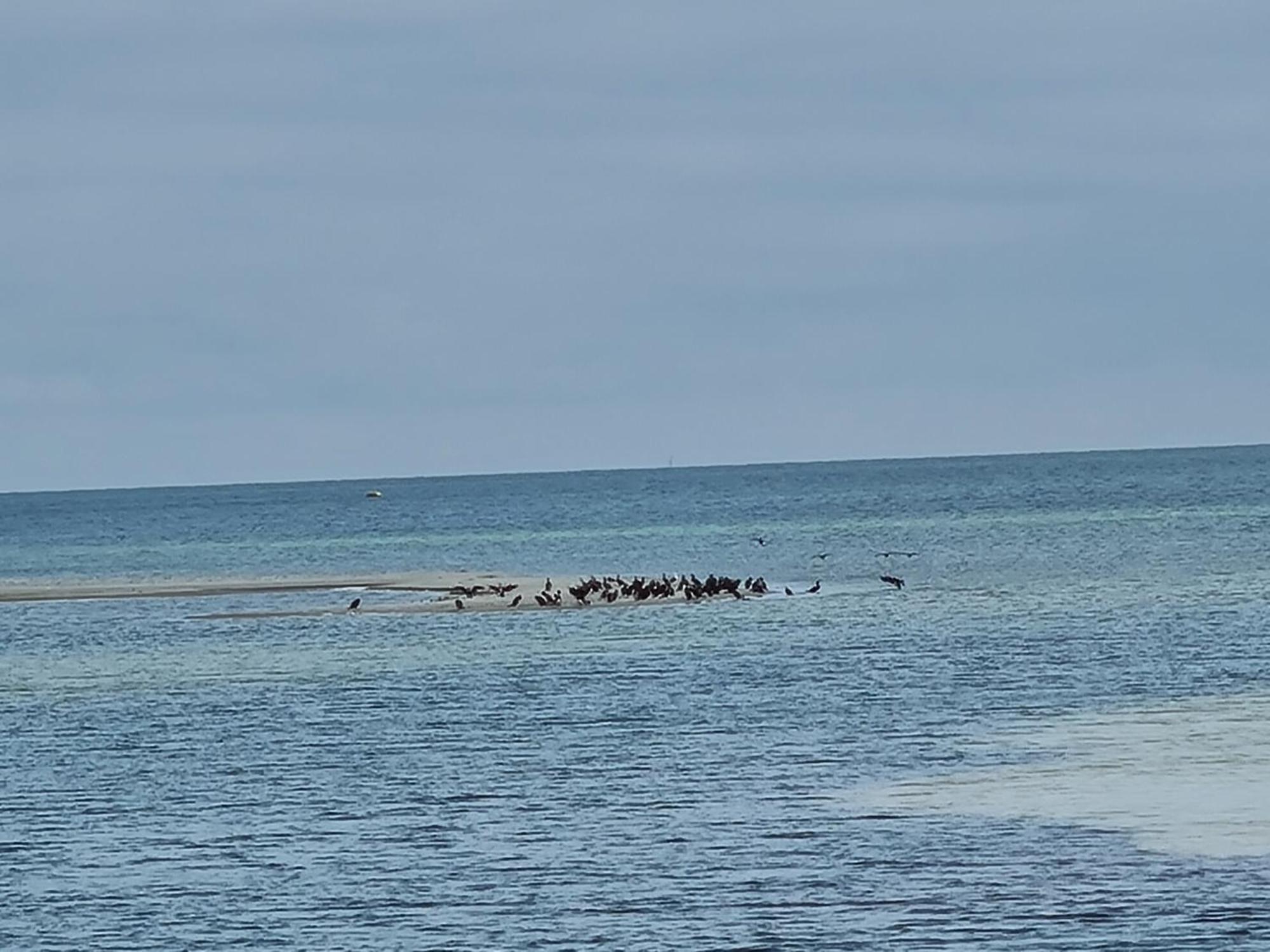 Ferienwohnung "Seeblick" Zingst Luaran gambar